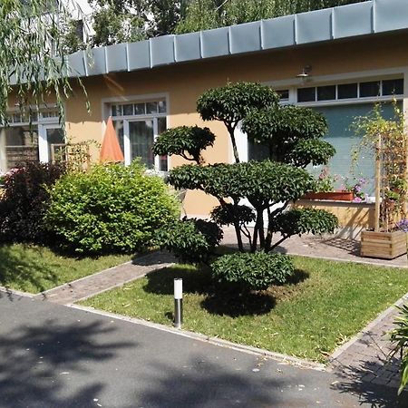Fewo 2 Dresden Exterior foto